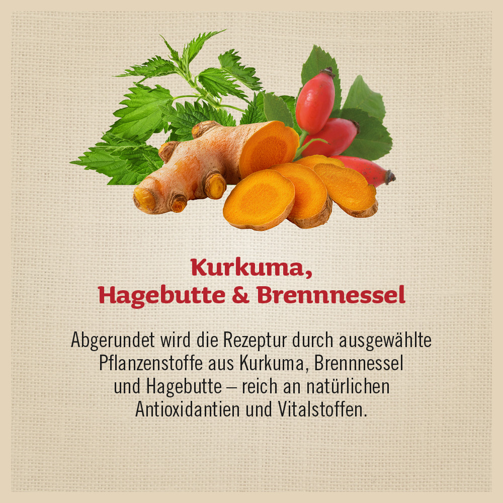Sprungkraft