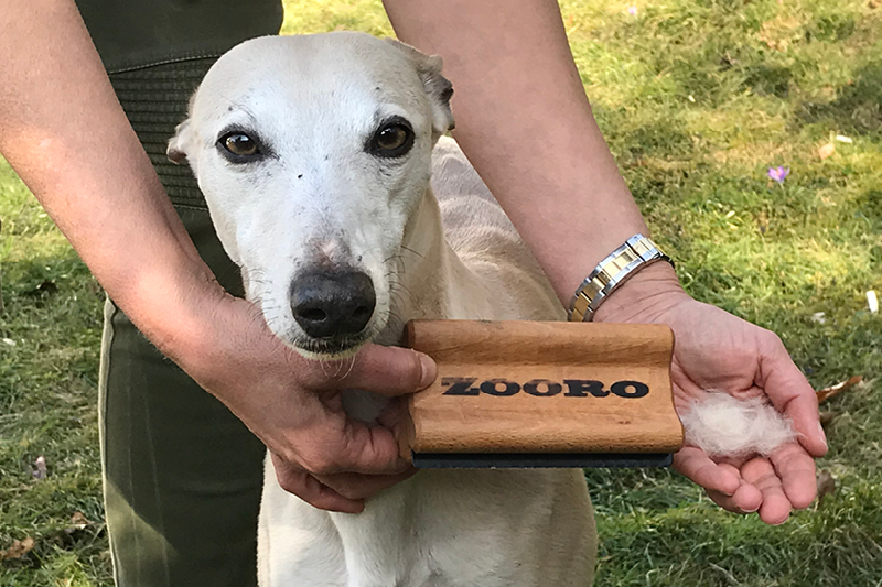 Leiky_Fellwechsel_Blog2 Fellwechsel beim Hund