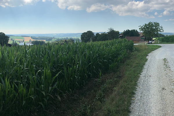 Leiky-Blog-Triftern-Thalhammer-Schlucht7 Wandern mit Hund in Niederbayern