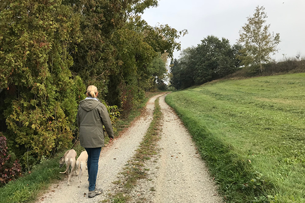 Leiky-Bleichenbach Wandern mit Hund - Rottal