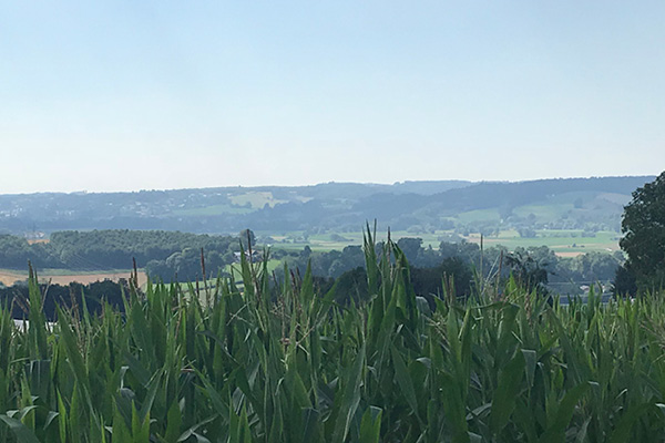 Leiky-Blog-Triftern-Thalhammer-Schlucht3 Wandern mit Hund in Niederbayern
