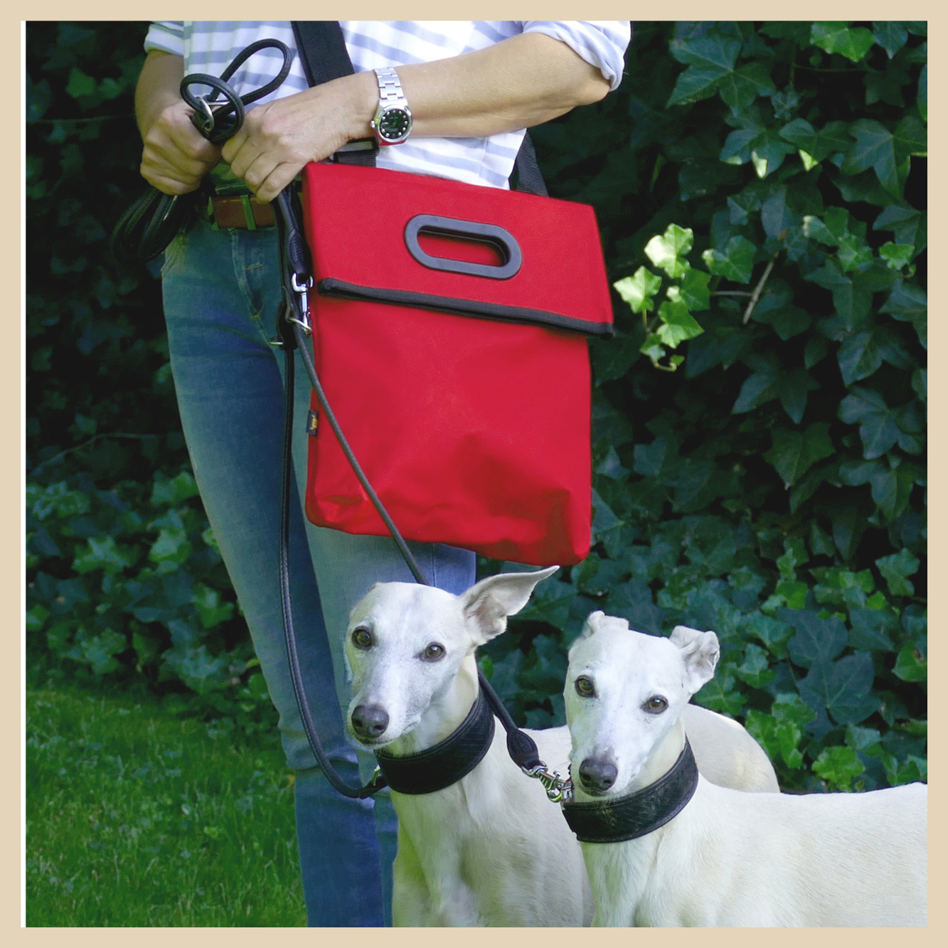 Tasceh-Rot_Gross_leiky-Hund_2