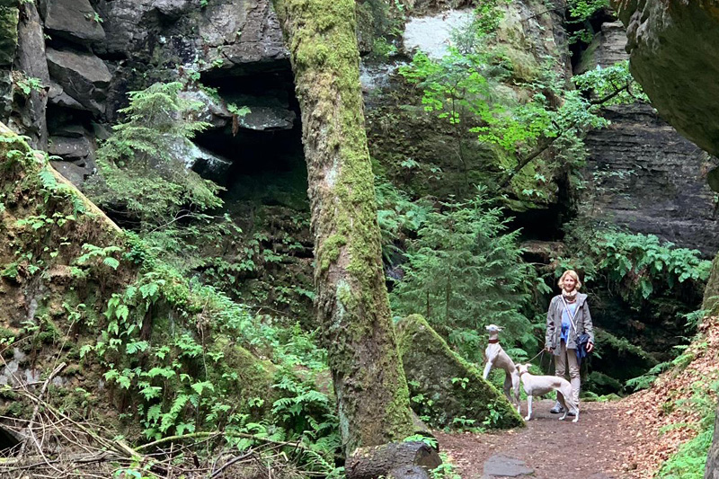 Wanderweg-Saechsische-Schweiz-_Blog Wandern mit Hund in der sächsischen Schweiz