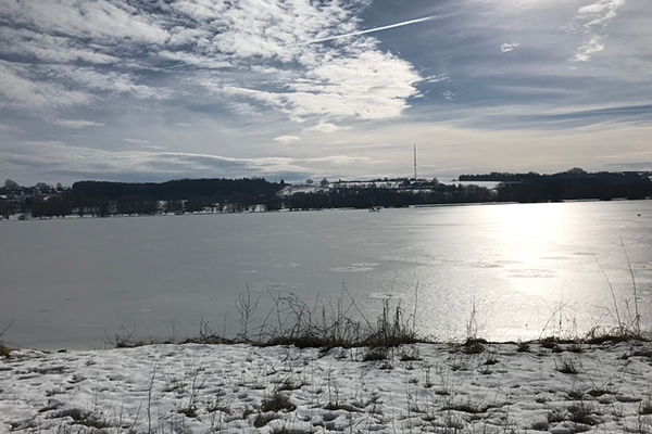 Wanderweg_Rottauensee_Blog Rundweg für Hunde um den Rottauensee