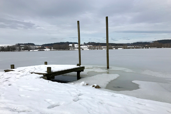 Wanderweg_Rottauensee_Blog3 Rundweg für Hunde um den Rottauensee