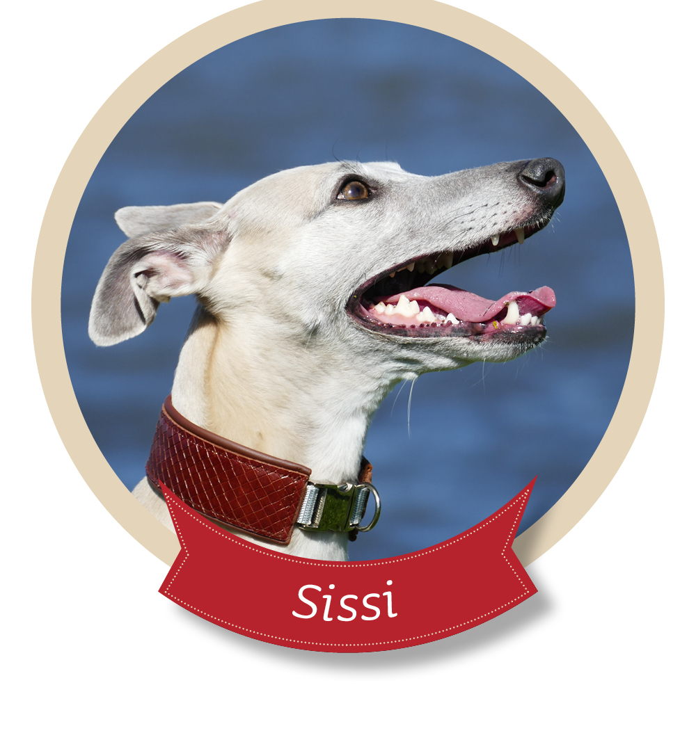 Leiky_Hund_Sissi_Zahn