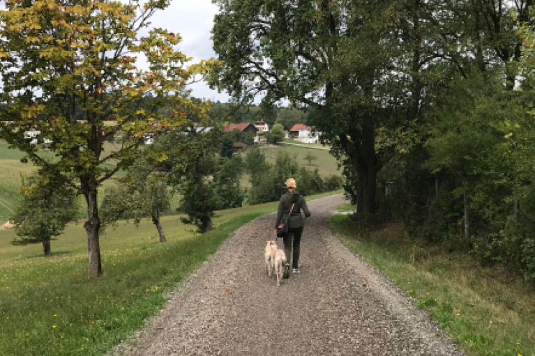 Blog_Leiky_Waldhof-Wanderweg-G Osterspaziergang mit Hund