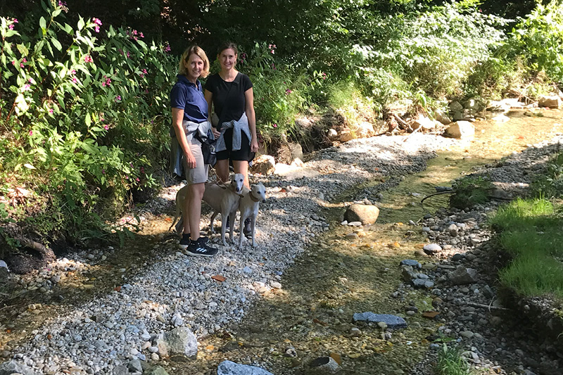 Leiky-Kirchdorf Wandern mit Sissi und Glori im Rottal