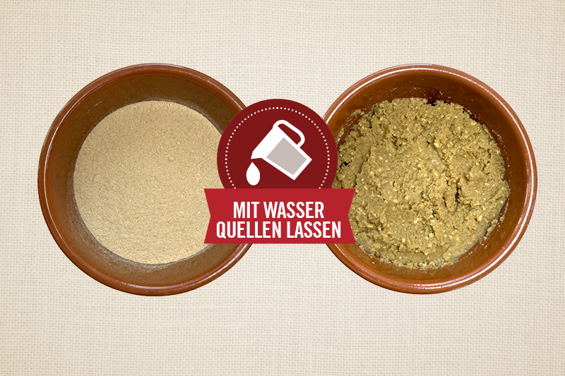 Darmsanierung beim Hund Darmsanierung beim Hund