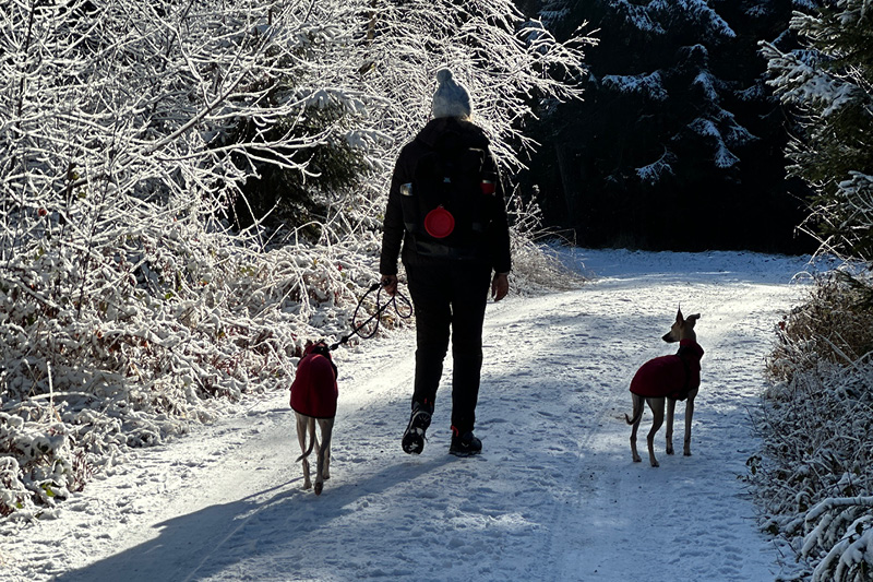 Wandern mit Hund – Rottal Wandern mit Hund – Rottal