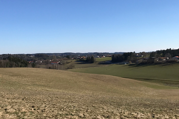 Leiky-Tann4 Wanderweg mit Hunden in Tann, Niederbayern