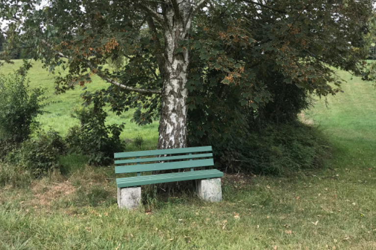Blog_Leiky_Waldhof-Wanderweg-G6 Osterspaziergang mit Hund