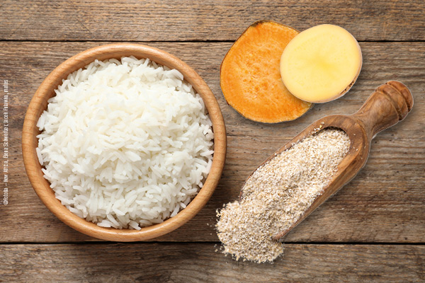 Blog_Leiky_KohlenhydrateHA0MphLI4o51Q Sind Kohlenhydrate gut für Hunde?