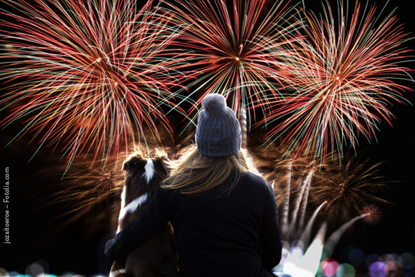 Blog_Leiky_Stress_Silvester Weihnachtsstress und Silvesterangst bei Hunden: Was tun?