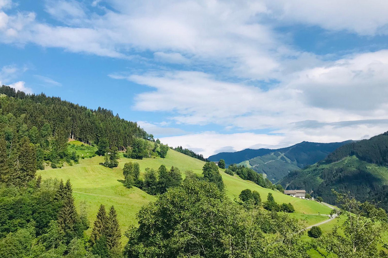 Saalbach-Wandern_Hund3 Wandern mit Hund in Österreich